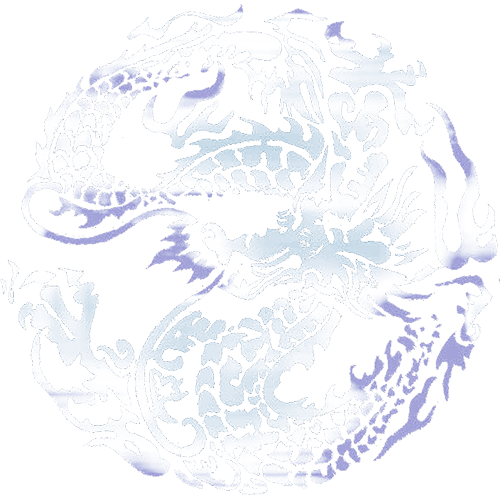 龙盘通讯 Logo